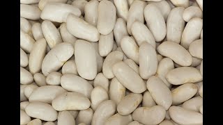 Cannellini Beans 101Health Benefits [upl. by Fougere528]