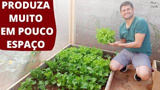 COMO FAZER UMA HORTA PEQUENA NO QUINTAL DE CASA E TER FARTURA DE VERDURAS E LEGUMES ORGÂNICOS Ep145 [upl. by Dowzall513]