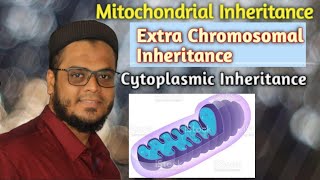 Mitochondrial Inheritance  Extra Chromosomal Inheritance  Cytoplasmic Inheritance [upl. by Magdau]