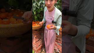 Ripe persimmon fruit cutting at farm fruit fresh persimmon fruitcutting [upl. by Ailefo]