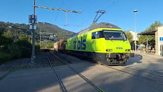 Usfahrt vo de Re 465 011 mit Brunbär und Valentina in Oensingen OeBB [upl. by Helbonna96]