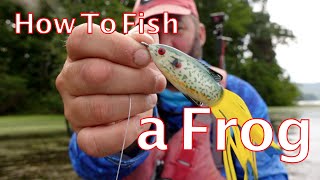 The Ultimate Guide To Topwater Frog Fishing [upl. by Tyrrell]