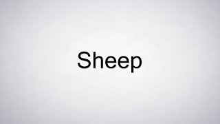 How to Pronounce Sheep [upl. by Clough]