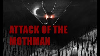 Attack of the Mothman [upl. by Lemuel145]