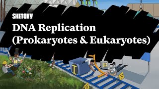 DNA Replication Prokaryotes amp Eukaryotes Part 1  Sketchy Medical  USMLE Step 1 [upl. by Alyk]