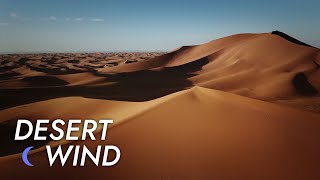 Desert Wind Sound  10 Hours  Stress Relief  Meditate  Sleep  Study  Desert Winds [upl. by Kcirddet855]