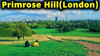 Primrose Hill  London’s Royal Parks  Viraj London Vlogs 2024  london vlogs [upl. by Nadabas524]