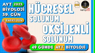 39 Hücresel Solunum ve Oksijenli Solunum  Canlılarda Enerji Dönüşümleri  AYT Kampı 39 Gün [upl. by Nnaycart]