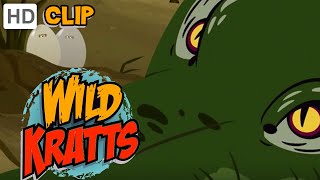 Wild Kratts  Operation Crocodile Nest [upl. by Musihc124]