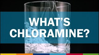 Chloramine in Drinking Water [upl. by Corenda]