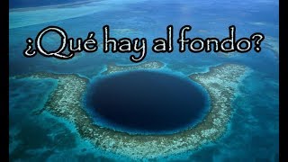 Revelan lo que Hay al FONDO del Gran Agujero Azul de Belice Y no es Nada Bueno [upl. by Pippy]