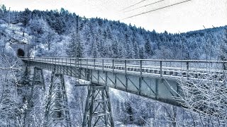 Kreuztalviadukt  Rübelandbahn im verschneiten Harz  Januar 2015 [upl. by Notreve]