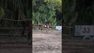 Riding again horseriding horse shorts equestrian beats [upl. by Gladys672]