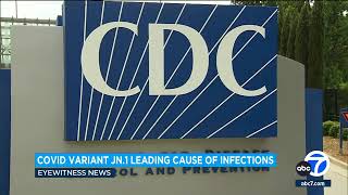 COVID JN1 variant now leading cause of infections in United States CDC says [upl. by Ennazus]