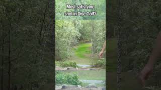 Is THIS the MOST SATISFYING shot in Disc Golf 😩 discgolf frisbeegolf hyzerflip satisfying ace [upl. by Annalise207]