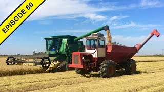 Rice Harvest 2018 in California Begins with a Sprint [upl. by Ail]