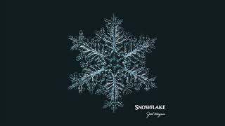 Snowflake original pianoviolin song feat Naomi Alzingre  Joel Mayeur [upl. by Neysa]