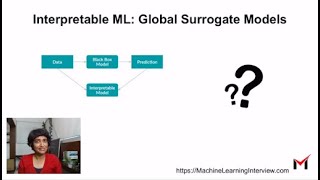 Global Surrogate Model for Interpretable AI [upl. by Yesnil]