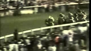 Epsom Derby 1977 and the great Lester Piggott on The Minstrel [upl. by Arraik]