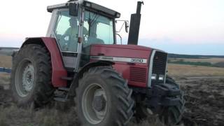 Massey Ferguson 3650  Unlu Bayachevo [upl. by Lipman755]