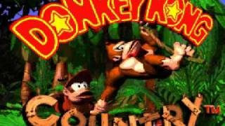 Donkey Kong Country Music SNES  Jungle Groove [upl. by Wertheimer]