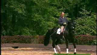 DressageH Rehbein amp Donnerwetter at home [upl. by Nylasej233]