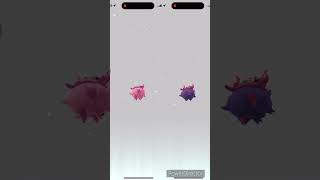 ［Pokémon Go 粉香香進化比一比 哪一隻好看呢？ 粉香香 芳香精 spritzee aromatisse [upl. by Ycnaf]