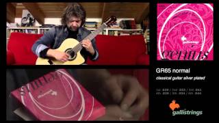 Nazzareno Zacconi plays Galli Strings GR65 [upl. by Esinwahs713]