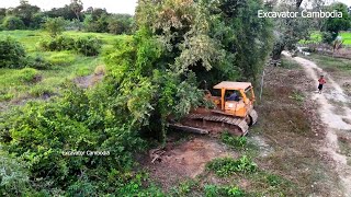 Amazing Heavy Old Heavy Bulldozer Working Breakdown Tree Making New Road With Small Dozer And Truck [upl. by Nedia13]