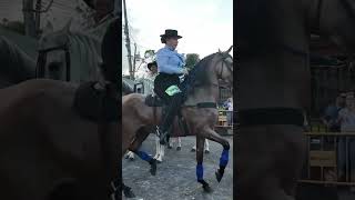 Stylish beautiful Cowgirls rider at Horse Riding Fesitval Tope Palmares [upl. by Nylyaj]