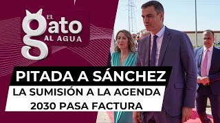 Sánchez se atraganta con jarabe democrático la sumisión a la Agenda 2030 pasa factura [upl. by Reger]