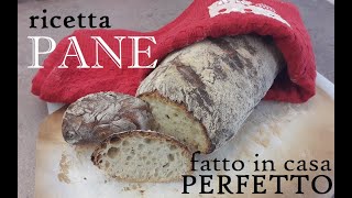 PANE FATTO IN CASA buonissimo SENZA IMPASTARE [upl. by Ylrac771]