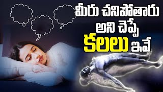 Kalalo Kanipisthe  ఈ కల వస్తే మరో 6 నెలల్లో చనిపోతారు  Darshanam Bhakthi Channel [upl. by Analim]