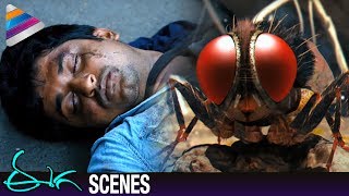 Nani Rebirth as Fly  Samantha Shocked by Nanis Demise  Eega Malayalam Movie Scenes  EECHA Movie [upl. by Alarice]