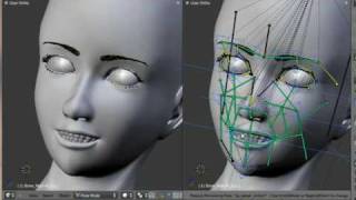 Blender Face Rig with auto deform [upl. by Sucramaj548]