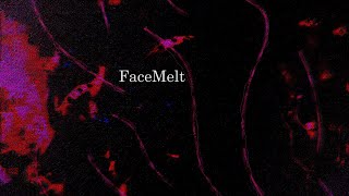 AkZeNT  FaceMelt Visualizer [upl. by Tse]