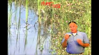 Dahlberg Diver Frog River2Sea Produktvideo 2 [upl. by Eibbor963]