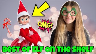 The Best Of The Elf On The Shelf My Elf Is Pregnant Gender Reveal [upl. by Reifel]