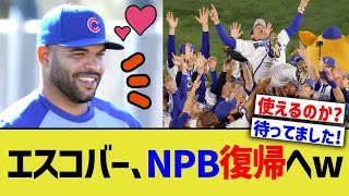 エスコバー、NPB復帰へww [upl. by Eledoya387]