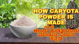 How Caryota powder is made ಈಂದು ‌‌‌‌ಹುಡಿಬೈನೆ ಹುಡಿತಯಾರು ಮಾಡುವ ವಿಧಾನ ಕನ್ನಡ [upl. by Ennire231]