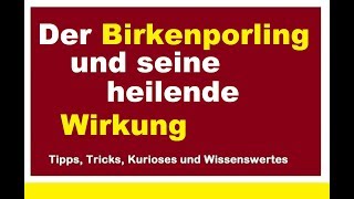 Birkenporling und seine heilende Wirkung Zubereitung Pilz trocknen Verarbeiten Anwendung [upl. by Redman]