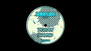 Tigran Sound  Masked Ones DBKAD021 [upl. by Blossom]