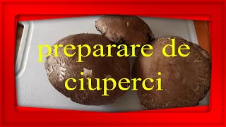 CIUPERCI 🍄CUM LE PREGĂTIM CEL MAI SIMPLU Mod de pregatire pas cu pas [upl. by Cedell]