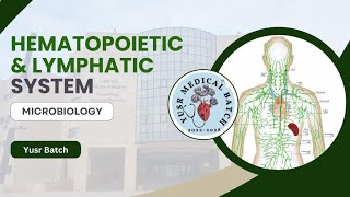 Microbiology L3 C1C2 Leishmaniasis and Trypanosmoa [upl. by Olpe909]