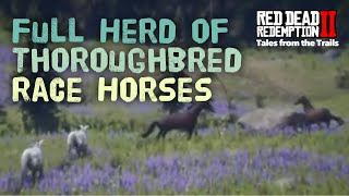 Red Dead Redemption 2 Full Herd of Thoroughbred Horses  Female Guide  Location [upl. by Ellertnom]