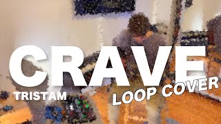 Crave  Tristam Loop Cover [upl. by Notnerb]