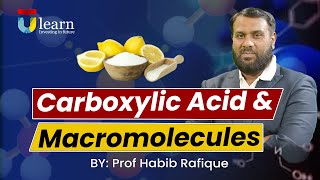 Carboxylic Acids Fatty Acids Esterification Amides Proteins amp Enzymes by Prof Habib Rafique [upl. by Anadal476]