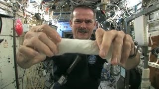 Tücken der Schwerelosigkeit Die WeltallTricks des BowieAstronauten Chris Hadfield [upl. by Ellehcin]