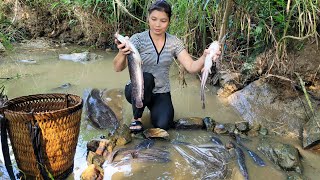 Turn off the water to catch fish during the rainy season and bring them to the market to sell [upl. by Artenehs]