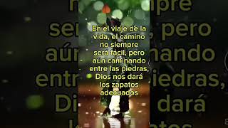 frases de amor y reflexión hermosas amor shorts shortvideo viral video youtubeshorts lovesad [upl. by Brigida51]